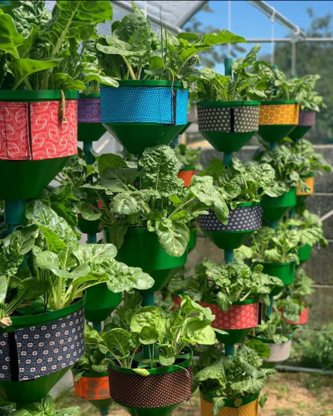 Garden to jar